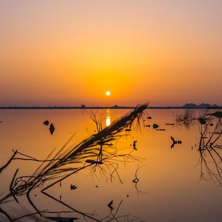 Taghaghien Island Resort Siwa Oasis Zewnętrze zdjęcie