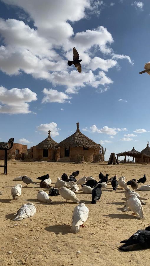 Taghaghien Island Resort Siwa Oasis Zewnętrze zdjęcie